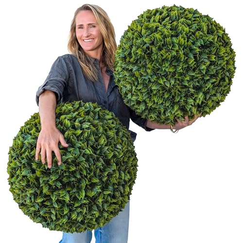 365 Curb Appeal 23" XL Topiary Balls (Estate Edition Boxwood, 2 Extra Large Luxury Faux Topiary Balls (4 Halves)) - color: Estate Edition Boxwood, size: 2 topiary balls (4 halves)