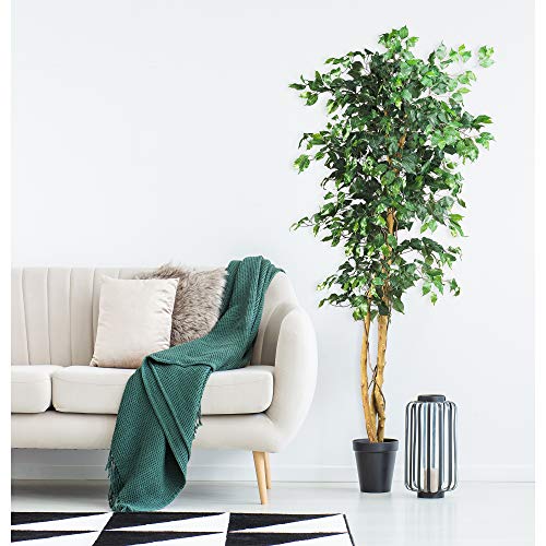 Nearly Natural 6ft Triple Trunk Artificial Ficus Tree with Natural Wood Trunks, Fake Tree for Indoor Home Décor, Faux Ficus Tree with Black Nursery Pot - size: 6ft, style: Tree in Pot