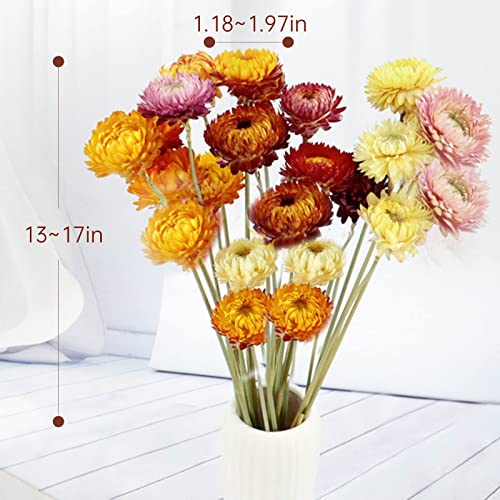 Dried Flowers Natural Daisy Mums Flower - 20 Stems Multicolor Daisies Artificial Sunflowers, Dry Fall Orange Flowers Bouquets for Vase, Wedding Home Farmhouse Decor, DIY Table Centerpiece Decoration