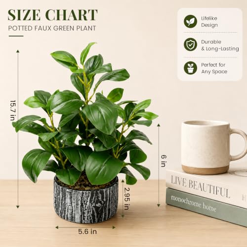 Der Rose 15.7" Artificial Plants Indoor, Money Leaf Fake Plants in Pot for Desk Shelf Office Bedroom Apartment Decor - color: 1pack-green Style a