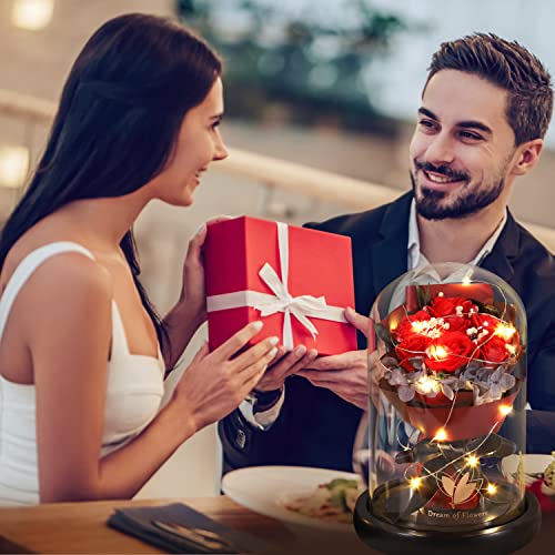Valentines Day Gifts for Her-Beauty and The Beast Rose,Lasts Forever Red Roses,Light Up Rose in Glass Dome,Gifts for Women,Birthday Gifts for Mom,Wife,Grandma,Anniversary,Mothers,Thanksgiving - color: Red Rose