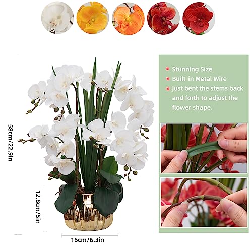 CXGS Artificial Orchid Flower Real Touch Faux Orchids in Ceramic Vase Large 22.9'' Fake Flowers White Phalaenopsis Floral for Home Indoor Decor - color: White- Golden (Large Pot)