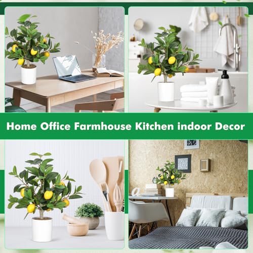 Giegxin 2 Pcs Artificial Lemon Tree 15.7 Inches Fake Artificial Potted Plants Faux Lemon Citrus Tree with Pot Faux Plants Indoor for Home Kitchen Office Living Room Table Desk (White Pot) - color: White Pot