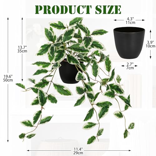 DILATATA Fake Plants Artificial Potted Plants 20 Inch Faux Peperomia Ivy Vine Plant Hanging Plant for Home Office Desk Shelf Indoor Outdoor Decor - color: Peperomia-green&white