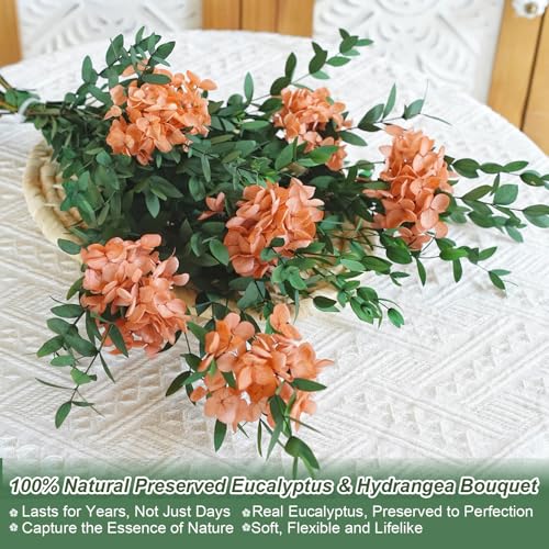 Hand-Tied Preserved Eucalyptus and Hydrangea Bouquet, 5-7 Stems Rustic Yellowish Brown and Green Natural Dried Flowers for Home Table Decor, Wedding Centerpiece, Fall Holiday Decorations