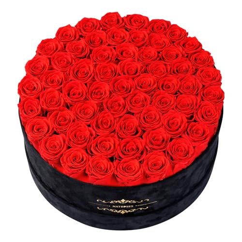 Gifts for Women – NATROSES 60 Preserved Roses in Luxury Black Velvet Box, Preserved Flowers for Delivery Gift for Her, Elegant Rose for Birthday, Mother’s Day, Christmas (Red) - color: Red, size: 60 Roses