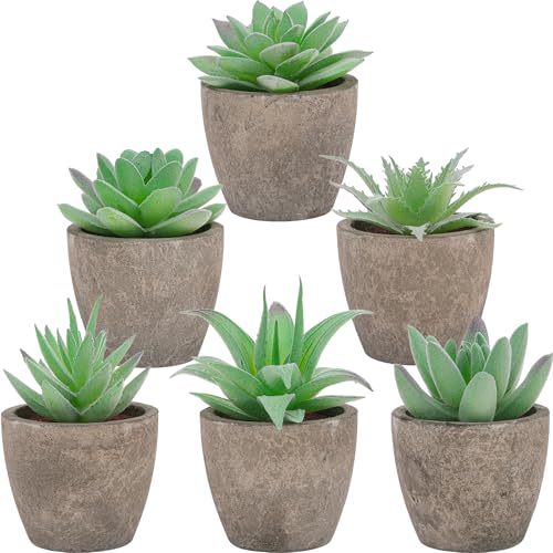 Woration 6pcs Artificial Succulents Plants Potted Assorted Decorative Faux Fake Small Green Succulent with Pot Table Shelf Windowsill Indoor Greenery Decor - color: 6 Pack 6 Style