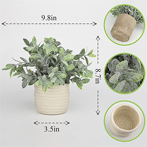 Hopewood Faux Plants, Small Fake Plant for Bathroom, Decorative Artificial Plants for Farmhouse Desk Shelf Decor with A Weave Basket (9.8inch) - color: Green Plant Style a