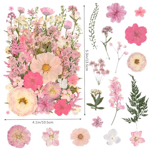 50pcs Pink Pressed Flowers Bulk, Romantic Dried Flower Leaves, Natural Pressed Dried Flowers with Tweezer for DIY Crafts Resin Mold Candles Cake Bridal Scrapbooking Supplies - size: Pink 50pcs
