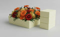 XCEL Floral Foam Blocks - Reusable, Weather Resistant Craft Foam Fresh & Artificial Flower Arrangements, Faux Florist Foam Planters Florist Supplies (Beige White 7" x 7" x 3" - 4 Pack) - color: Beige White 7" x 7" x 3" - 4 Pack