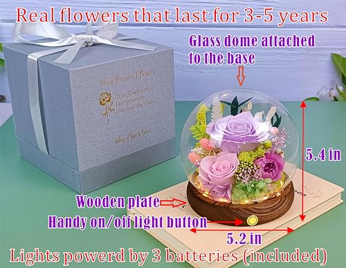 Valley of Rain & Forest Long-Lasting Real Flowers, Unique Floral Gift For you to send Love for All Occasions, for Indoor Decoration (Light-Purple Rose, Light-Pink & Purple-Pink Austin Roses) - color: Light-Purple Rose, Light-Pink Rose, Austin Rose