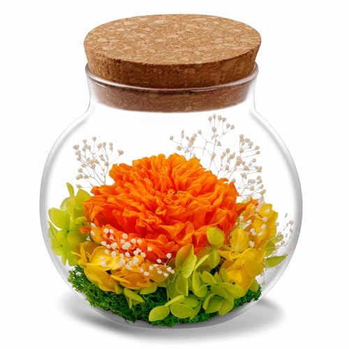 NATROSES Christmas Birthday Gifts for Women - Handmade Preserved Flowers Wish Bottle for Valentine's Day, Mother's Day, Anniversary, Home Decor (Orange) - color: Orange