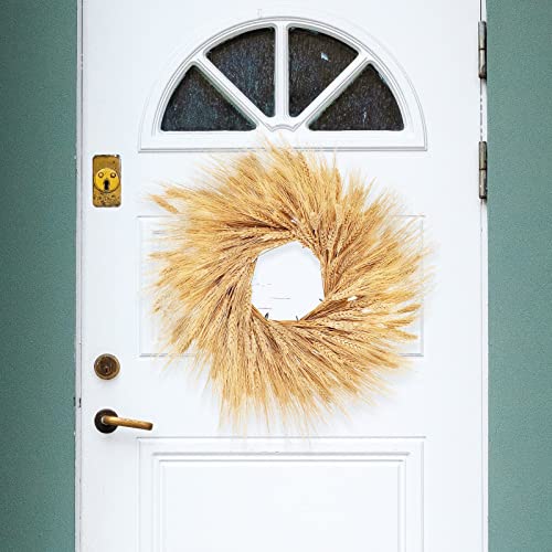 Uieke 17.7 Inches Dried Wheat Stalks, 400 Stems Dried Flowers 100% Natural Wheat for Home Kitchen Wedding Party Table Centerpiece Harvest Wreath Boho Farmhouse DIY Decoration - color: 400pcs