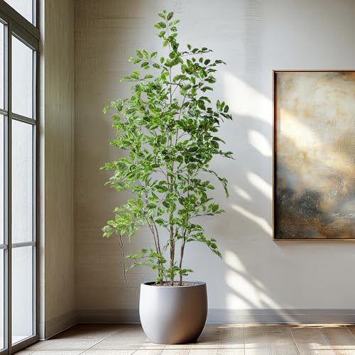 Bailikang Artificial Ficus Tree Indoor 6ft, Large Potted Faux Tree with Realistic Silk Leaves & Trunk for Home Office, Living Room Corner Decor - color: White Green, size: 6ft