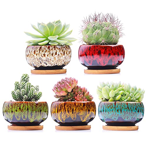 Cute Ceramic Succulent Garden Pots, Planter with Drainage and Attached Saucer, Set of 5 -Plants Not Included (Round) - color: Round