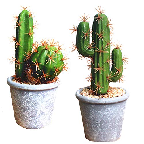 Artificial Succulent Plants,Fake Cactus Decorative Plants - Artificial Cacti with Gray Pots Planters,Artificial Faux Cactus for Home Décor House Office Ornaments