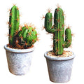 Artificial Succulent Plants,Fake Cactus Decorative Plants - Artificial Cacti with Gray Pots Planters,Artificial Faux Cactus for Home Décor House Office Ornaments