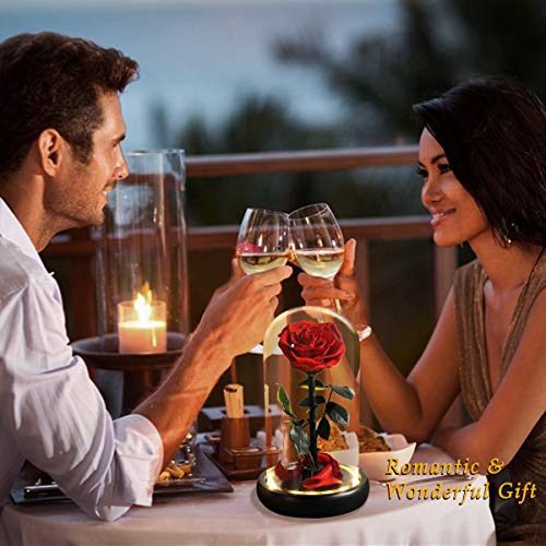 Mothers Day Rose Flower Gifts, Beauty and The Beast Rose Gifts for Women Wife Mom Girlfriend,Preserved Real Rose in Glass Dome,Forever Flowers with Warm Lights,Birthday Gifts for Women - color: Led Rose
