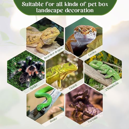 Reptile Plants for Terrarium, Amphibian Habitat Decor Plant, Bearded Dragon Tank Decorations, Artificial Plants for Gecko Lizard Chameleon Tortoise Ball Python Snake with Base - Fake Saxifrage - color: Fake Saxifrage