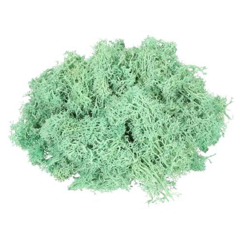 MECCANIXITY 11.3oz Preserved Reindeer Moss, Green Decorative Artificial Fake Moss for Potted Plants Indoor Crafts Lichen Centerpieces Decor - color: Green, size: 11.3oz