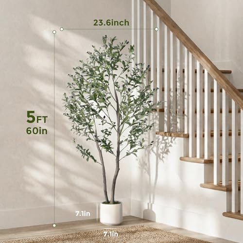 Jocoevol Olive Tree Artificial Indoor 5FT，Tall Faux Olive Tree with White Planter，Realistic Artificial Olive Tree Indoor with Natural Trunk and Lifelike Fruits for Home Office Living Room - size: 5ft
