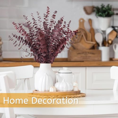 Real Dried Eucalyptus Stems, 20Pcs 17inch Red Preserved Fresh Eucalyptus Stems Plant for Home Vase Wedding Festival Floral Arrangement Fall Flowers Decoration - color: Red, size: 20Pcs Eucalyptus Stems
