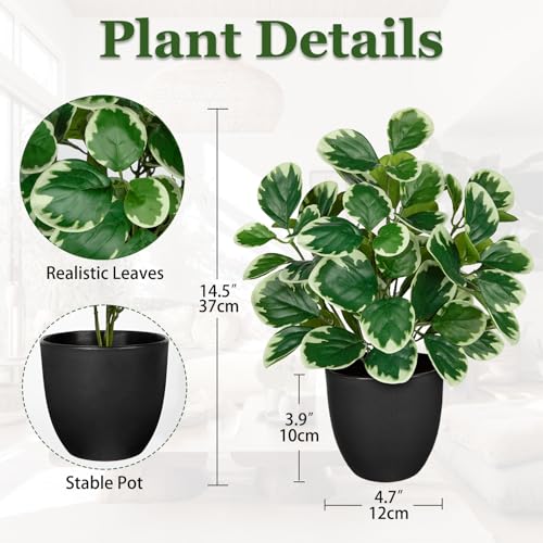Villa Como 14.5" Artificial Plants Indoor Home Decor, Fake Potted Silk Plants for Shelves Living Room Decorative, Small Artificial Office Desk Plant in Pots, Faux Peperomia Hope Tropical House Plant - color: #Funny White Margin