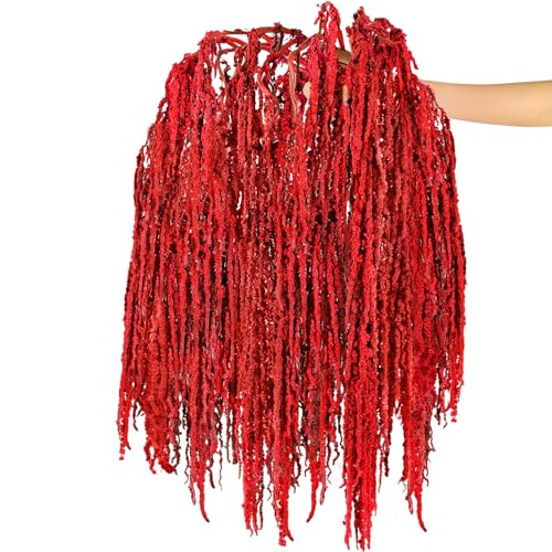 Suncalla Bright Red Spring Natural Dried Amaranthus Hanging Flowers Amaranthus Artificial Flowers for Wedding Arch Bouquet Floral Garland Wall Home Decoration (23 Inch,12 Pcs) - color: Bright Red
