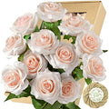 FiveSeasonStuff Fake Roses Wedding Flowers Real Touch Silk Cream Pink Artificial Flowers 12 Stems - color: Cream Pink