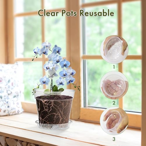 WSMKSZ 3 Inch Clear Nursery Pots, 60 Pack Highly Transparent Plastic Seedling Starter Planters with Drainage Holes and Trays for Flowers, Small Plant Pots for Indoor Plants - size: 3inch 60pcs