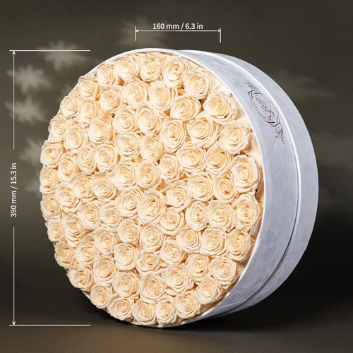 Prifroti 75 Preserved Roses in Suede Box – Luxury Rose Flower Arrangement, Preserved Flowers Gifts for Women, Wife or Mom – Birthday, Anniversary, Valentine’s Day, Mother's Day (Champagne) - color: Champagne, size: 75 Roses