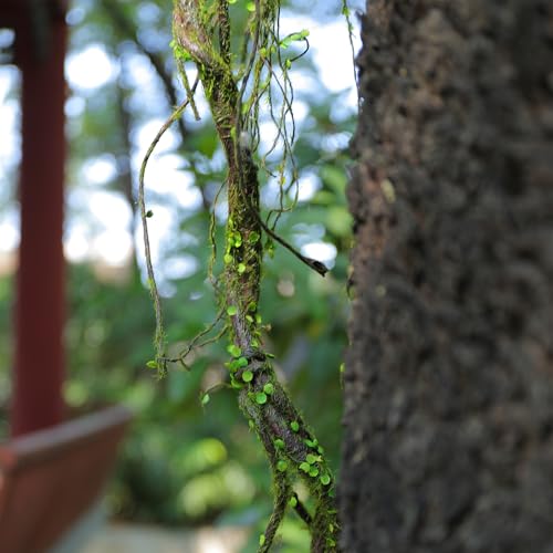 2Pcs 67in Artificial Trees Branches for Decoration Fake Cherry Blossom Trunk Willow Vines Garland Limb Twigs Moss Plants Wall Hanging Photo Home Garden X'Mas Christmas Thanksgiving Decor - size: 67 INCH