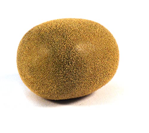 Vasefill 6-Pack Artificial Kiwi Round Plastic Kiwifruit Fruit Six Pieces Fake - color: Kiwi