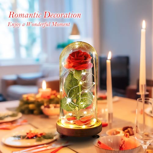 Preserved Rose Gifts for Mom,Birthday Gifts for Women,Beauty and The Beast Rose in Glass Dome,Silk Rose Forever Flowers with Lights,Valentines for Women Wife Daughter Girlfriend - color: Beauty and Beast