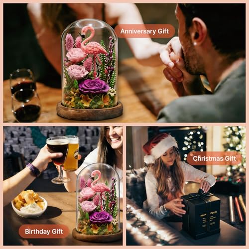 Eternal Flowers with Flamingo-Big Flower Big Love- Graduation Flowers Gifts for Daughter Wife Mom-Forever Flower in Glass Dome-Flowers for Delivery Prime on Anniversary Valentines Birthday (Purple) - color: Purple3