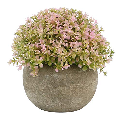 Ogrmar Mini Plastic Artificial Plants Grass in Pot/Small Artificial Faux Greenery/Mini Plants Topiary Shrubs Fake Plants for Bathroom, House Decorations (Pink) - color: Pink