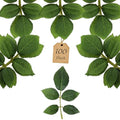 100 Pcs Artificial Flowers Green Leaf Bulk Faux Greenery Silk Fake Rose Leaves Bouquet Garland Wreath Floral Arrangement Supplie DIY Craft (1 Stem with 5 Medium-Leaf Green) - color: 07. 1 Stem With 5 Medium-leaf Green