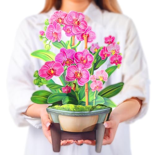 Airpark Pop Up Flower Bouquet Card for Women, 3D Floral Greeting Card with Envelope and Note, Birthday Thank You Thinking of You Get Well Gift for Mom Friend Wife Teacher, Orchid - style: Orchids