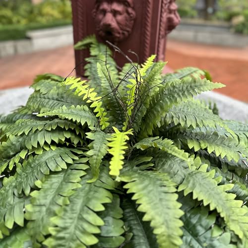 Forestwave Fake Ferns Artificial Plants Large, 51" Faux Boston Fern with Wooden Strips & 66 Fronds, Suitable for Outdoors Indoors Planters Home Porch Entrance Hall Decor, Realistic/UV Resistant