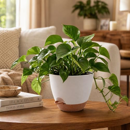 TYMENSH Plant Pots 12/10/9 Inch Set of 3, Self Watering Planters with Drainage Holes and Water Reservoir, Heavy Duty Plastic Flower Pots for Indoor Outdoor Plants, White - color: White