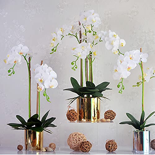 FagusHome 32" Artificial Phalaenopsis Flowers 5 Pcs Artificial Orchid Flowers Stem Plants for Home Décor