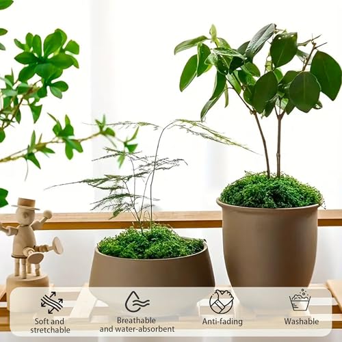Fake Green Moss for Potted Plants, Artificial Moss, Preserved Moss for DIY Decorating Craft Art Potted Wedding Accessories Fairy Garden Accessories (500G) - size: 17.63oz/500g- Green