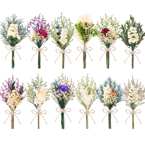 12/24 PCS Charming Dried Flowers Bouquet for Vase Various Dried Wildflowers with Stems Mini Handmade Wildflowers Natural Real Flowers Bulk Flowers Craft (White Series, 12 PCS) - color: White Series