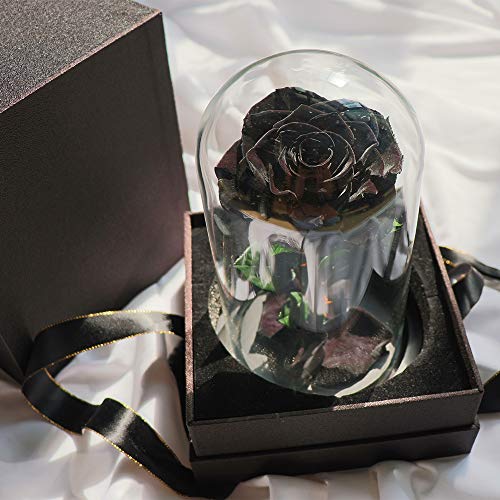 Preserved Roses Black Roses in Glass Dome, Medium, Preserved Flowers for Women - color: Black, size: Medium