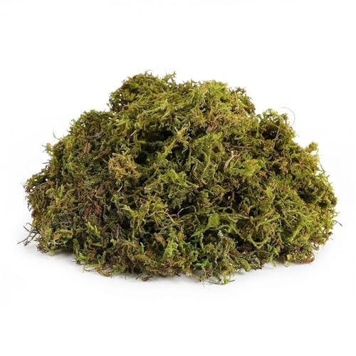 Artificial Moss, Fake Green Moss for Fairy Garden, Crafts, DIY Terrariums, Floral Arrangements, Waterproof Colorfast Moss Decor for Indoor Plants, Reusable (Greenish Brown 3.52 Oz) - color: Greenish Brown 3.52 Oz