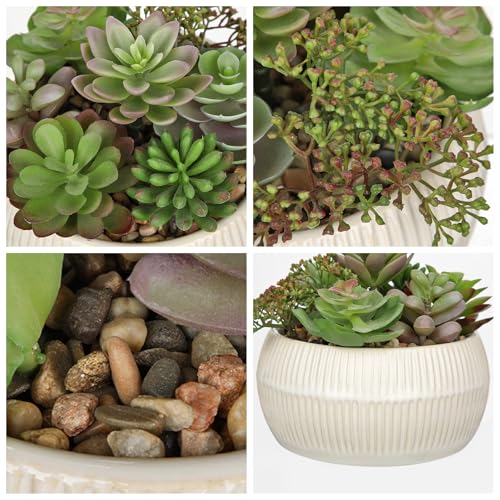 DILATATA Artificial Succulent Plants in Pot 5.5 Inch Fake Succulents Arrangement Potted Plant in White Ceramic Planter Bowl for Home Office Desk Shelf Living Room Bedroom Bathroom Decor - color: White Ceramic#style 3
