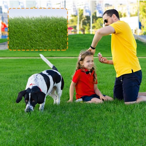 Heyroll Artificial Grass Thick Turf Rug 3 ft x 13 ft, 35MM Outdoor Indoor Fake Grass Mat, Astro Turf Lawn for Dogs Pets, Synthetic Grass Rug with Drainage Holes & Rubber Backing/Custom Size - size: 3FTx13FT