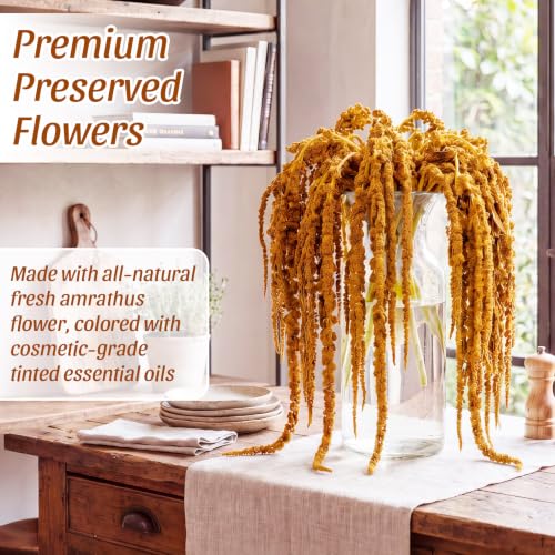 Suncalla 12 Pcs Orange Spring Natural Dried Amaranthus Hanging Flowers Amaranthus Artificial Flowers for Wedding Arch Bouquet Floral Garland Wall Home Decoration (23 Inch) - color: Orange