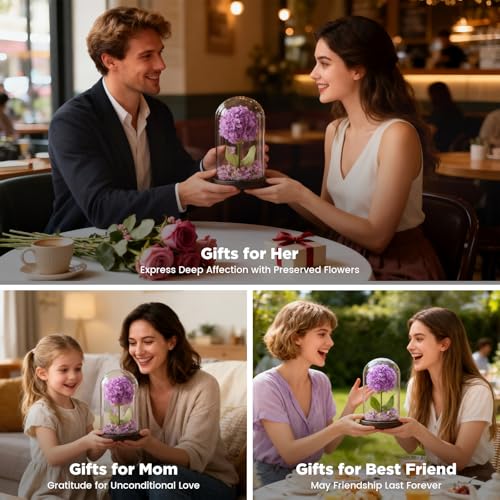 Forever Hydrangeas in Glass Dome,Forever Preserved Flowers Gifts Mothers Day Birthday for Grandma Women Mom Wife,Fresh Flowers for Delivery/Purple Hydrangea - color: Purple