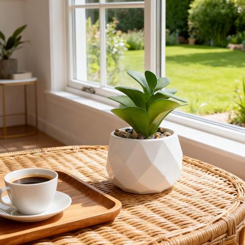 Artificial Succulents, Set of 6, White Plastic Pots | Small Fake Desk Plants, Realistic Succulent Plants, For Shelf Bedroom Balcony Windowsills Office Room Decor